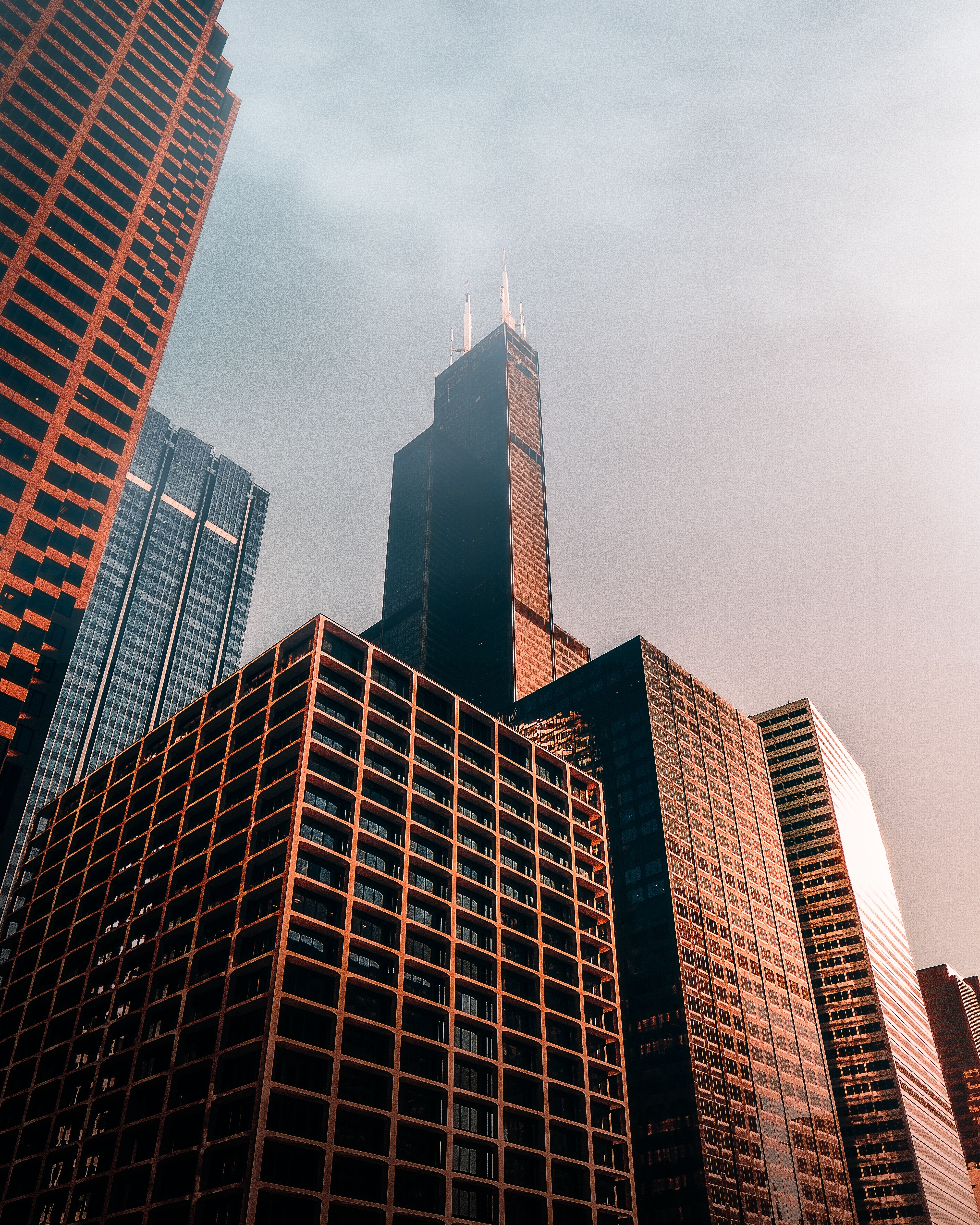 Real Estate & Investment Advisory